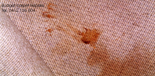 carpet stain removal sydney
